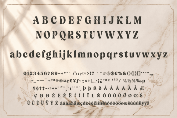 Velour Delamio Font Review